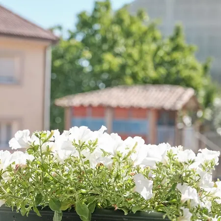 Πανσιόν Peregrina 3 O Pedrouzo