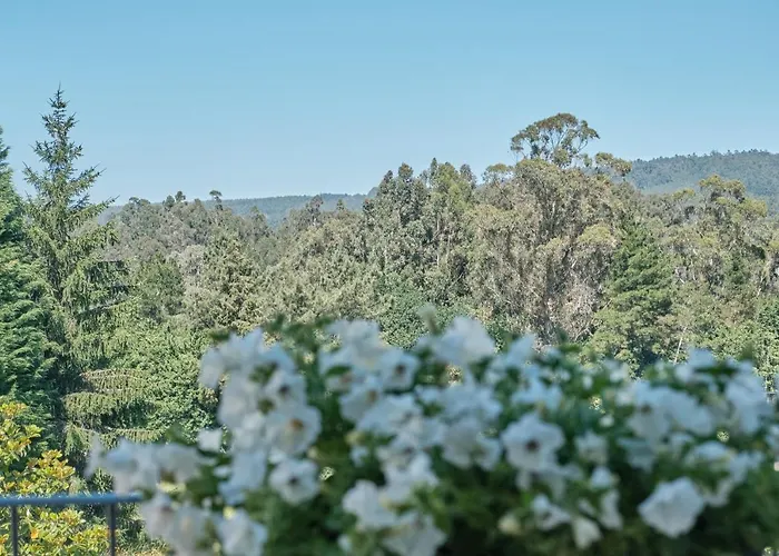 招待所 Peregrina 3